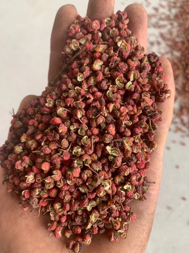 大红袍花椒/陕西花椒/渭南花椒/产地直发/量大价优