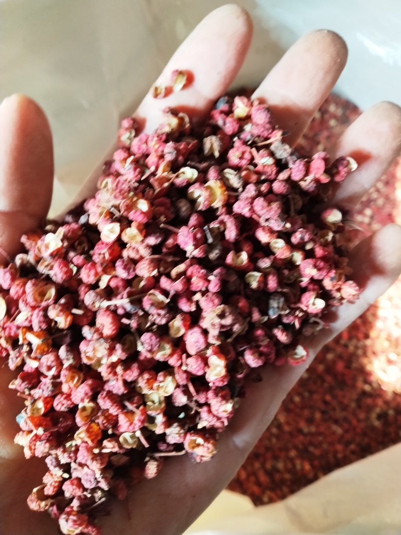 大红袍花椒/陕西花椒/渭南花椒/产地直发/量大价优
