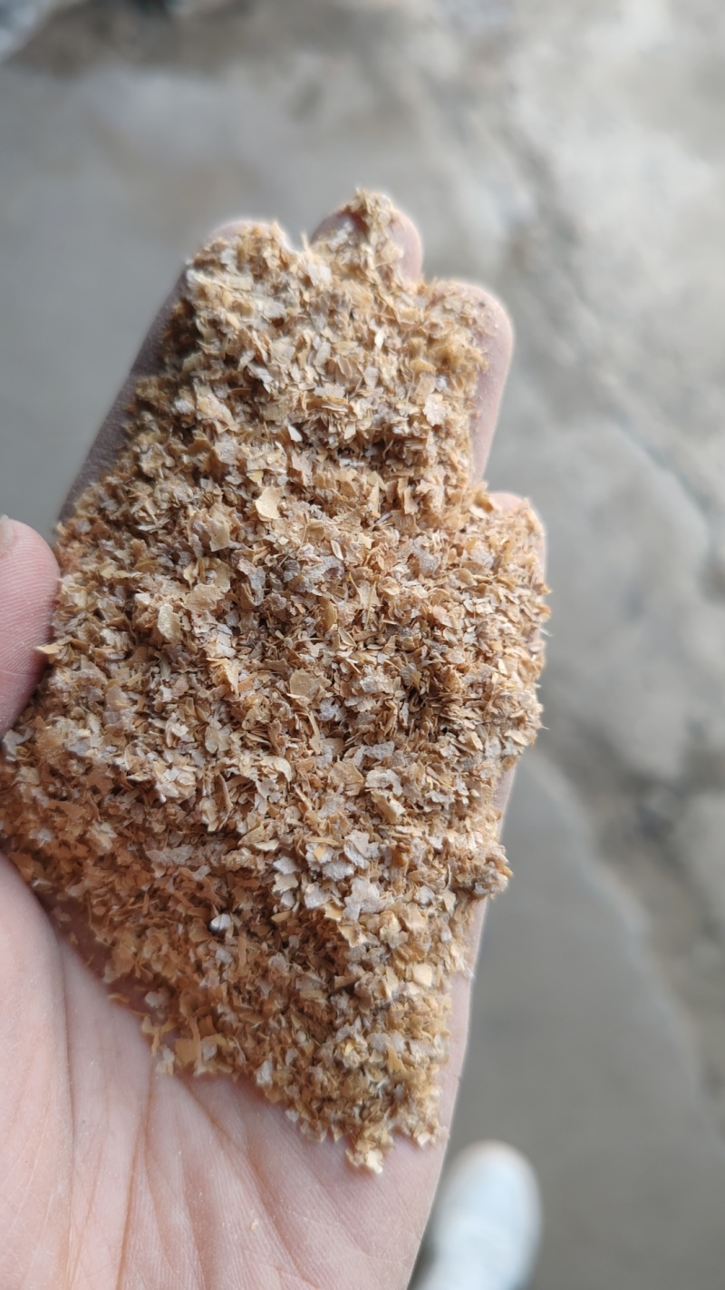 麦麸大片麸皮