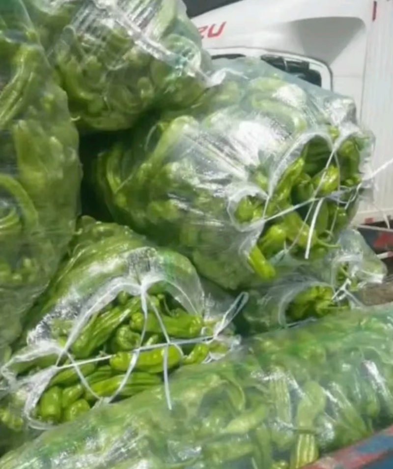 湖北精品芜湖椒，薄皮辣椒，大量有货，原产地直供