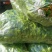 湖北精品芜湖椒，薄皮辣椒，大量有货，原产地直供