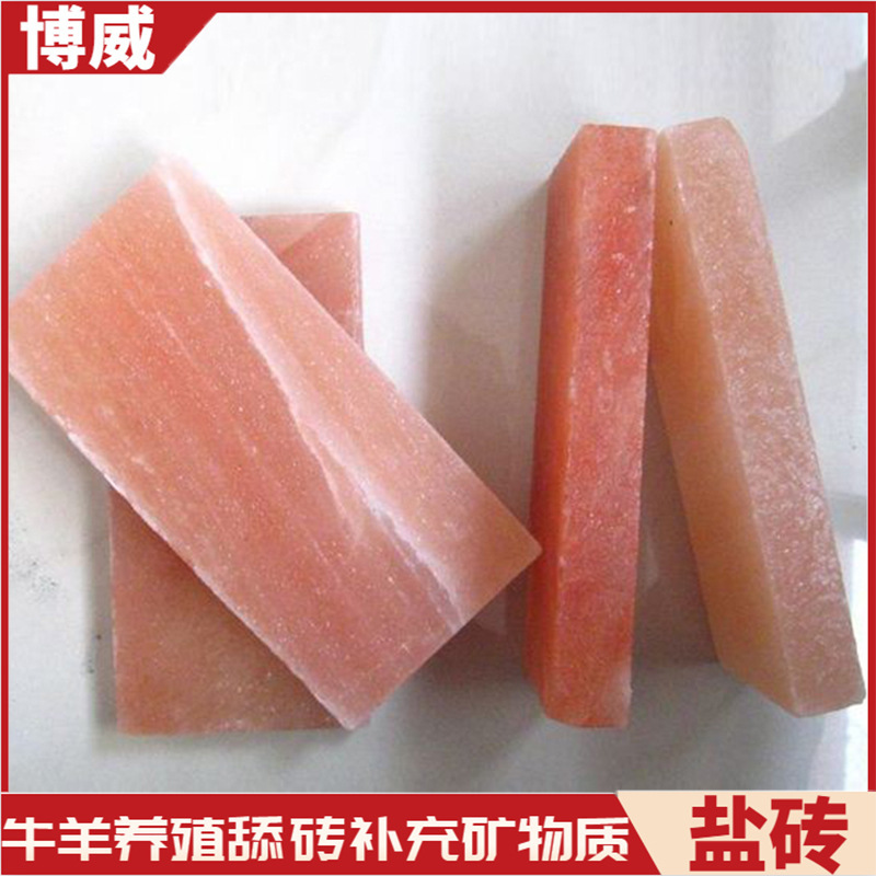 盐石盐块舔砖