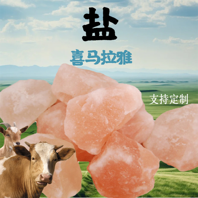 盐石盐块舔砖