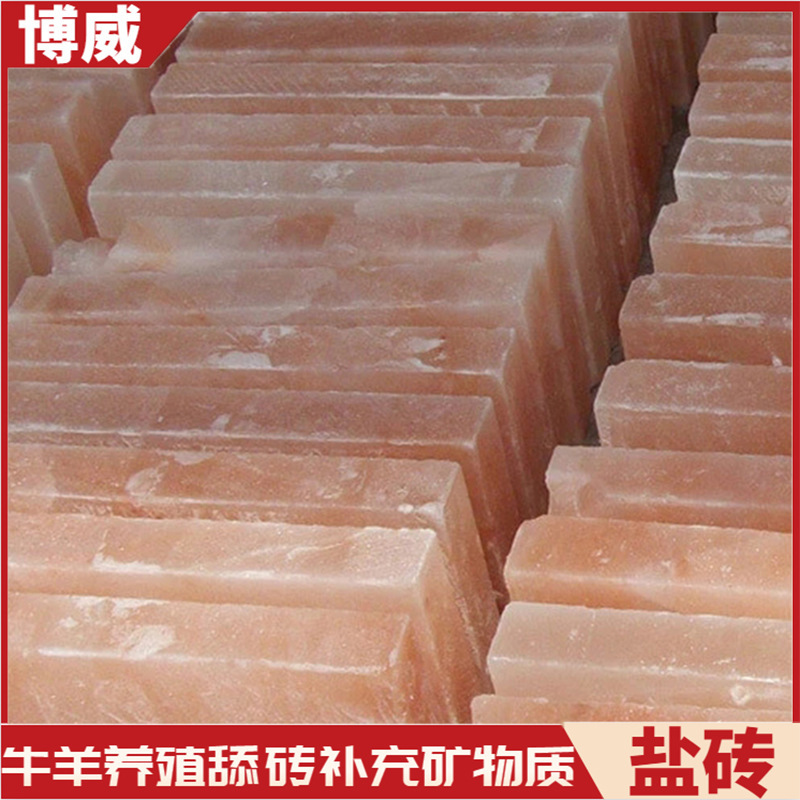 盐石盐块舔砖