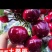 樱桃美早先锋~一件代发~抖音~快手~对接各大电商平台