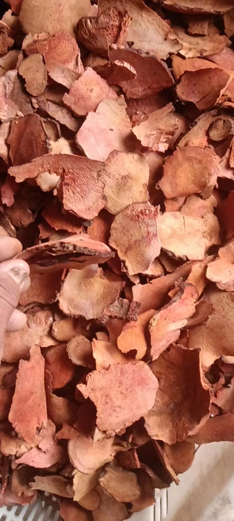 云南/红肉土茯苓/干片/包邮/货源充足/质量保证/视频看货