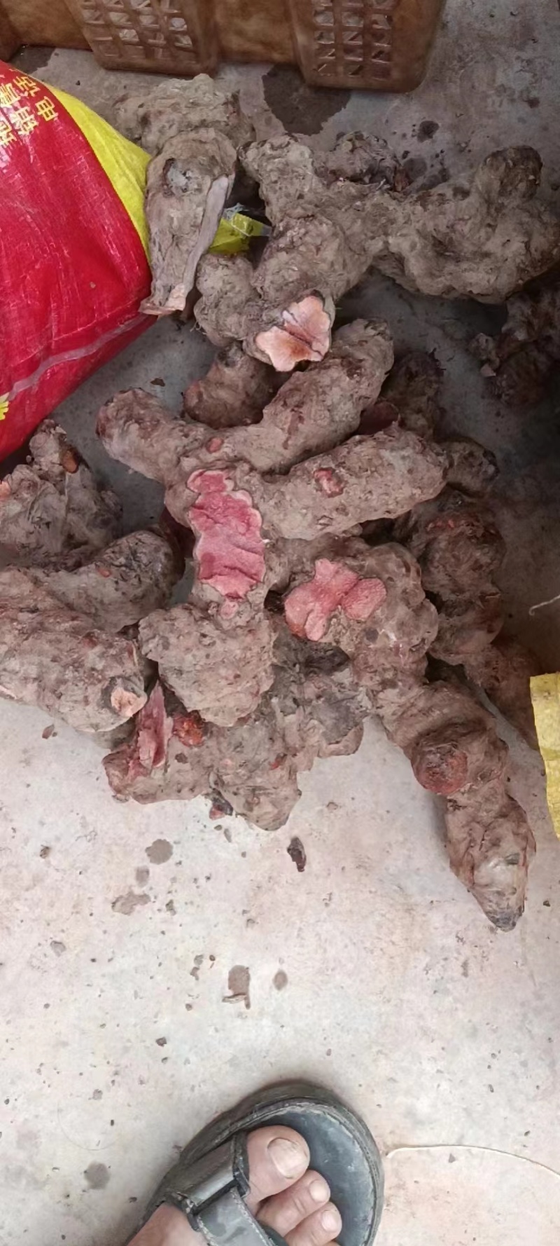 云南/红肉土茯苓/干片/包邮/货源充足/质量保证/视频看货