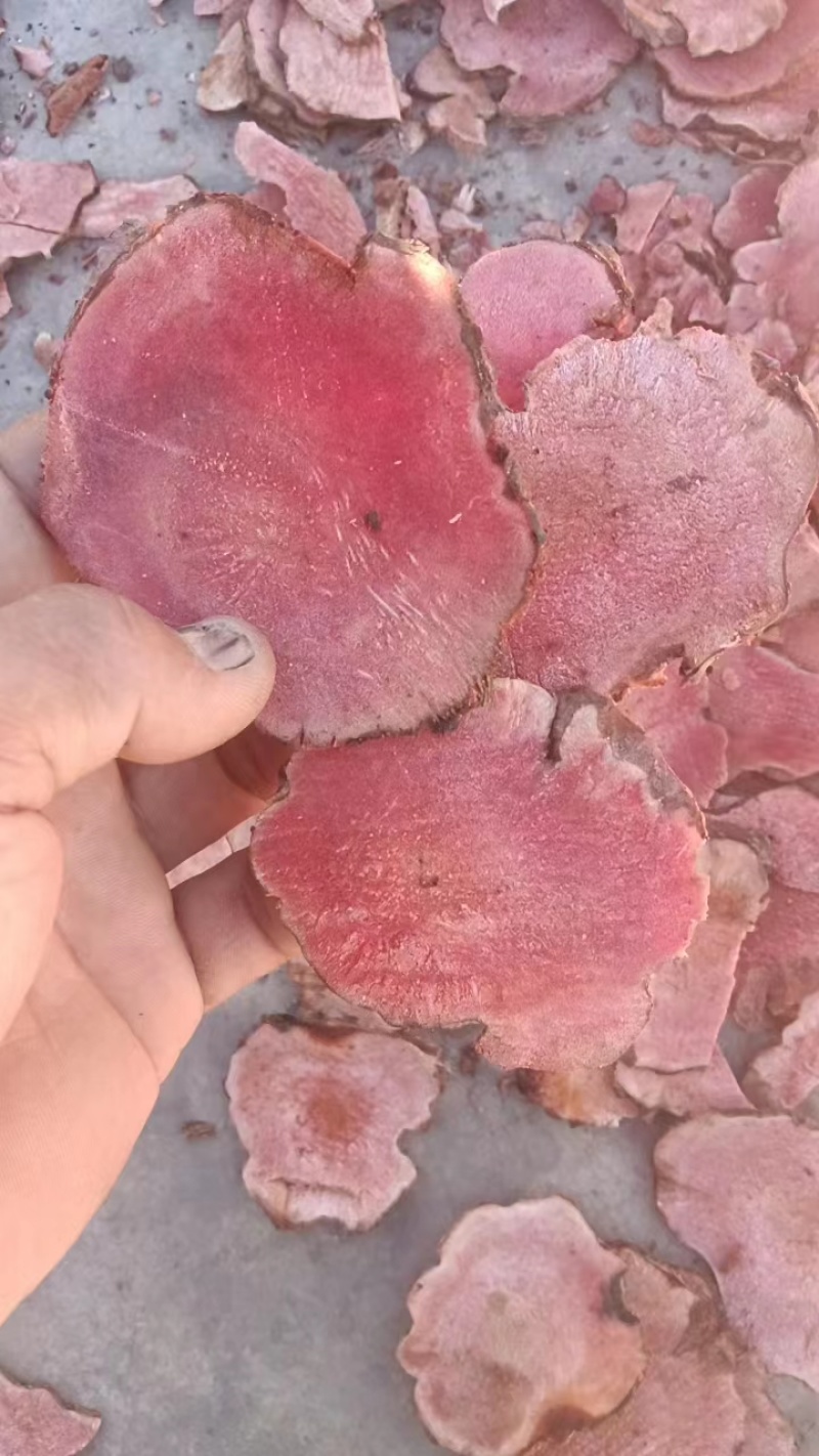 云南/红肉土茯苓/干片/包邮/货源充足/质量保证/视频看货