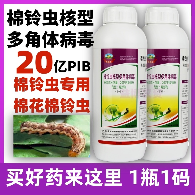 20亿棉铃虫核型多角体病毒棉铃虫菜青虫烟青虫辣椒专用农药