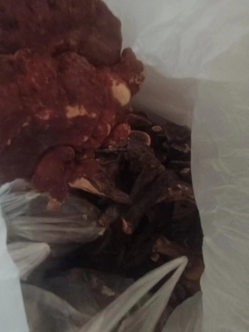 云南野生灵芝包邮，货源充足，质量保证，量大欢迎致电咨询