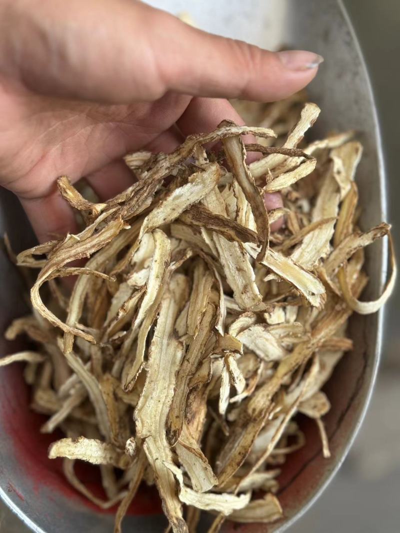 当归甘肃产地直发质量保证过筛现货24小时内发货