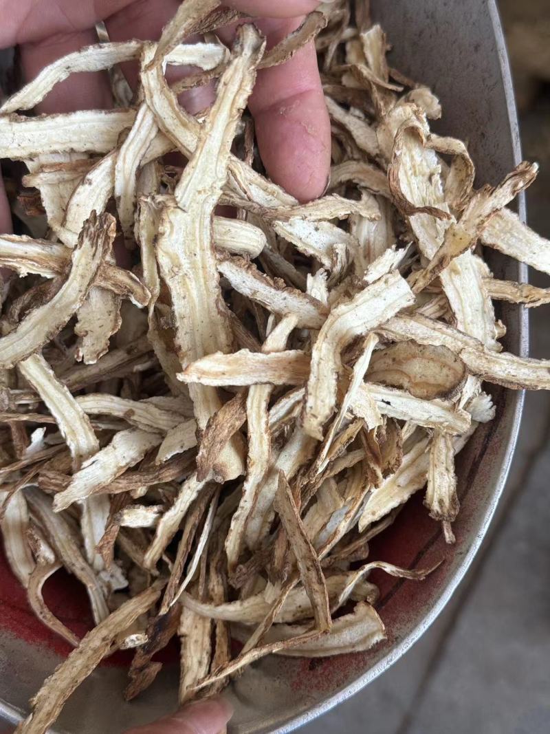 当归甘肃产地直发质量保证过筛现货24小时内发货