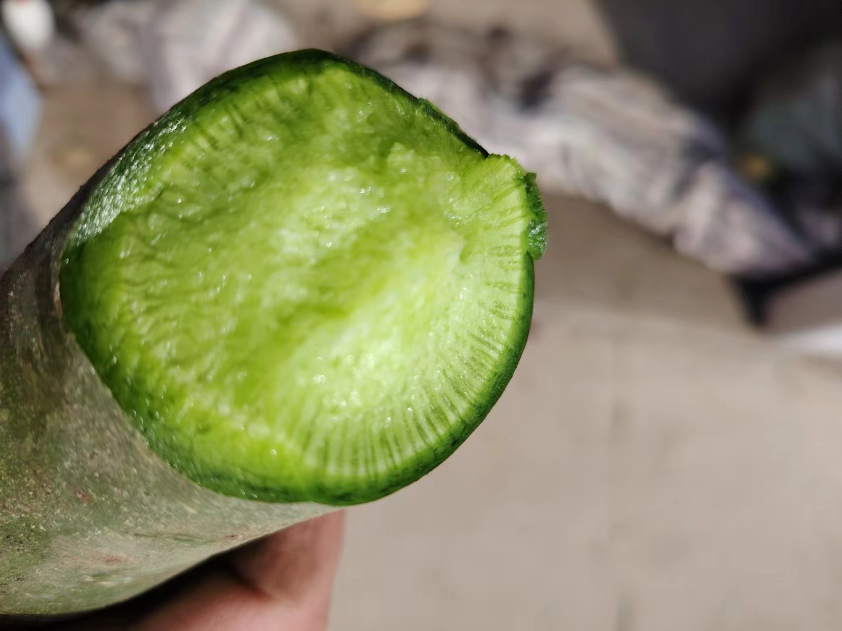 胡萝卜切片特写图,展示其内部结构和颜色分布 胡萝卜切片特写图