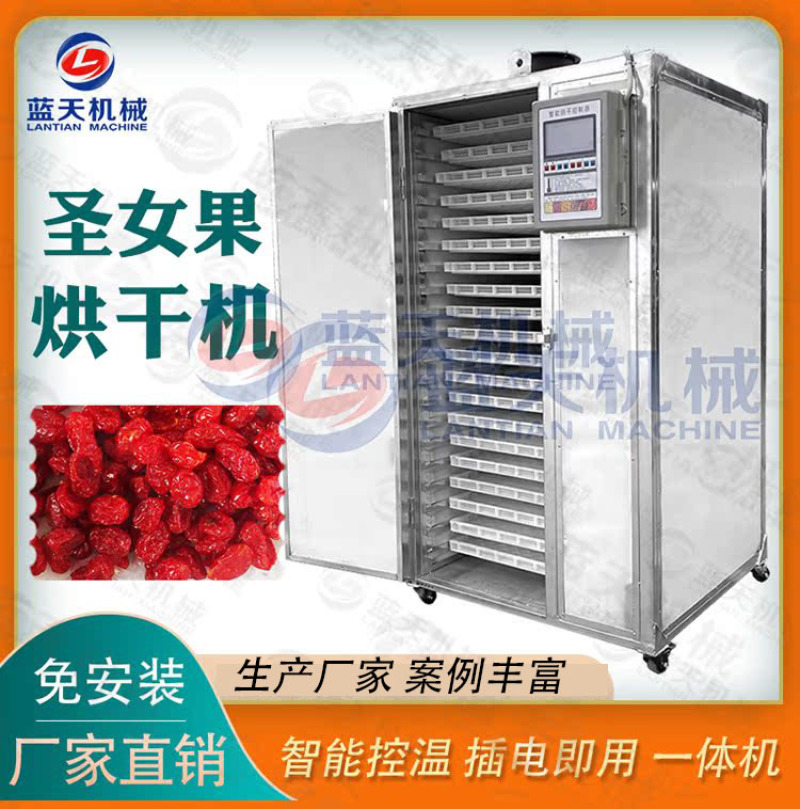 圣女果烘干机家用小型樱桃番茄千禧果小番茄小西红柿烘干箱免安装