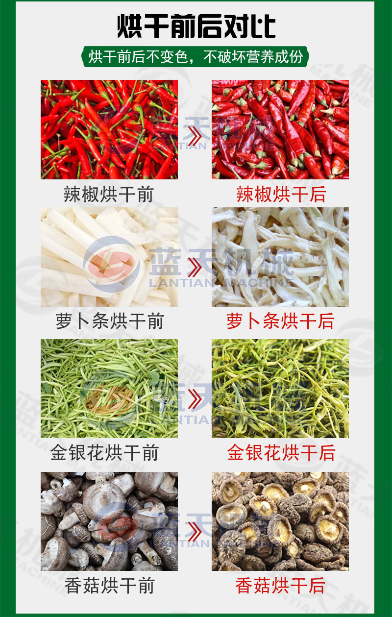 圣女果烘干机家用小型樱桃番茄千禧果小番茄小西红柿烘干箱免安装