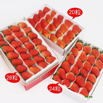 红颜草莓，基地直供全国直发商超电商一键代发欢迎洽谈生意