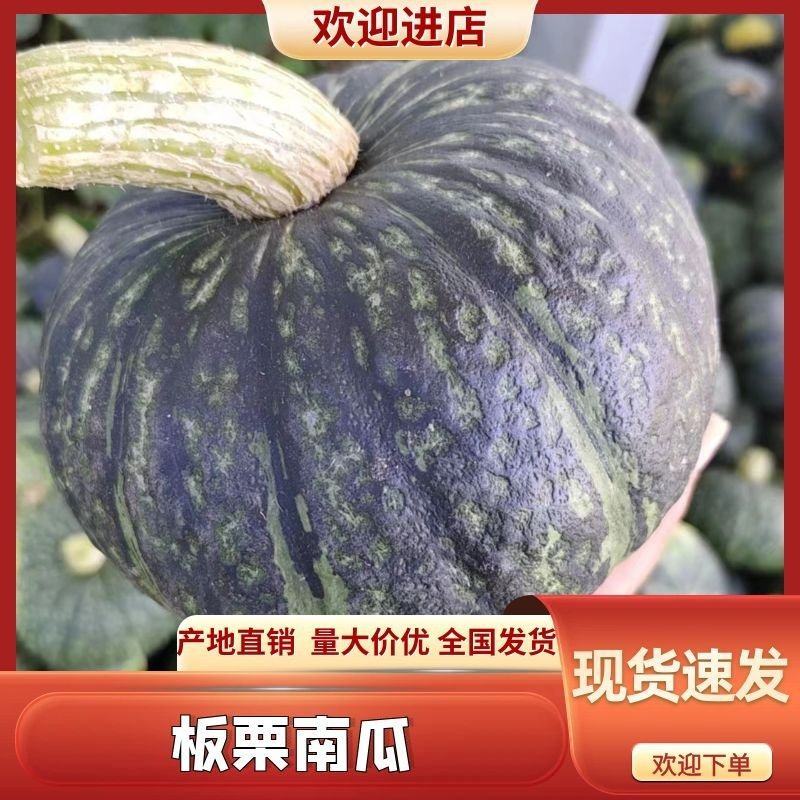 南瓜，板栗南瓜，基地头岔老瓜对接各种平台市场加工厂