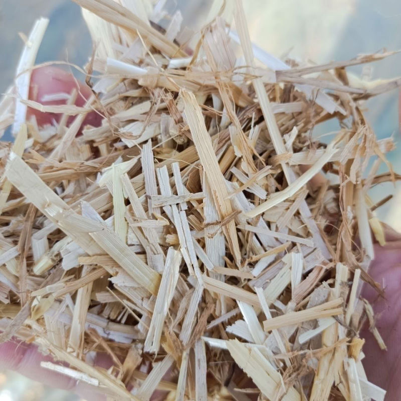 河南优质小麦秸秆，已过风选，牛羊马鹿驴兔骆驼，可以开发票