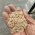 稻壳压缩稻壳袋装稻壳除尘除尘过筛稻壳