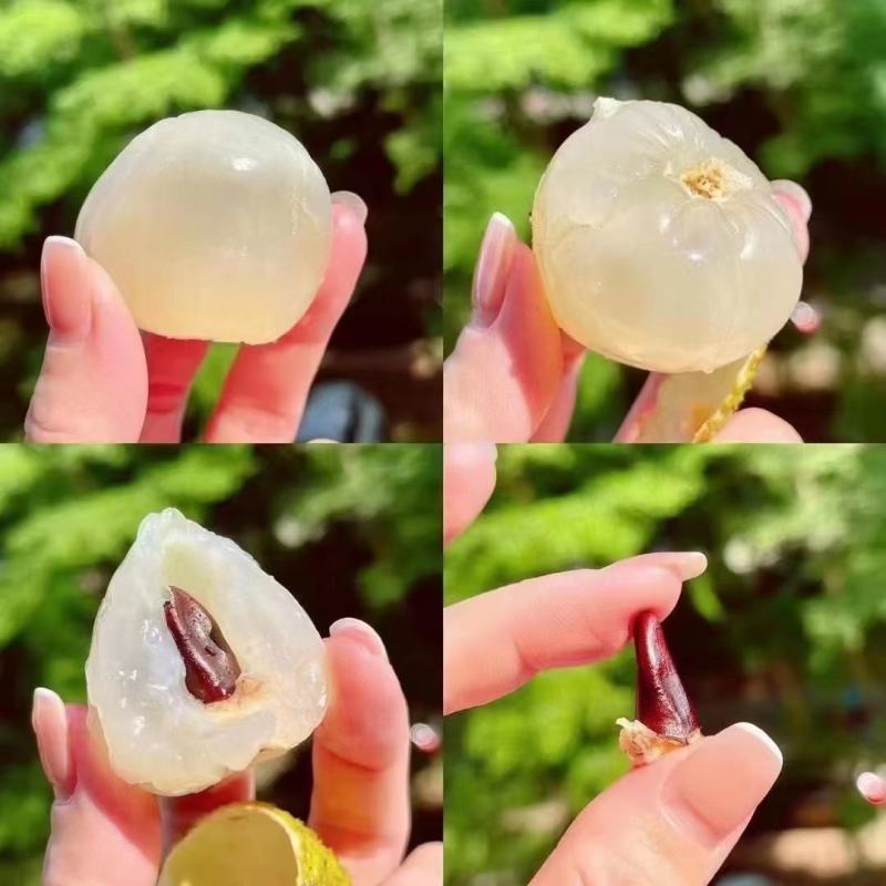 新鲜荔枝广东妃子笑荔枝