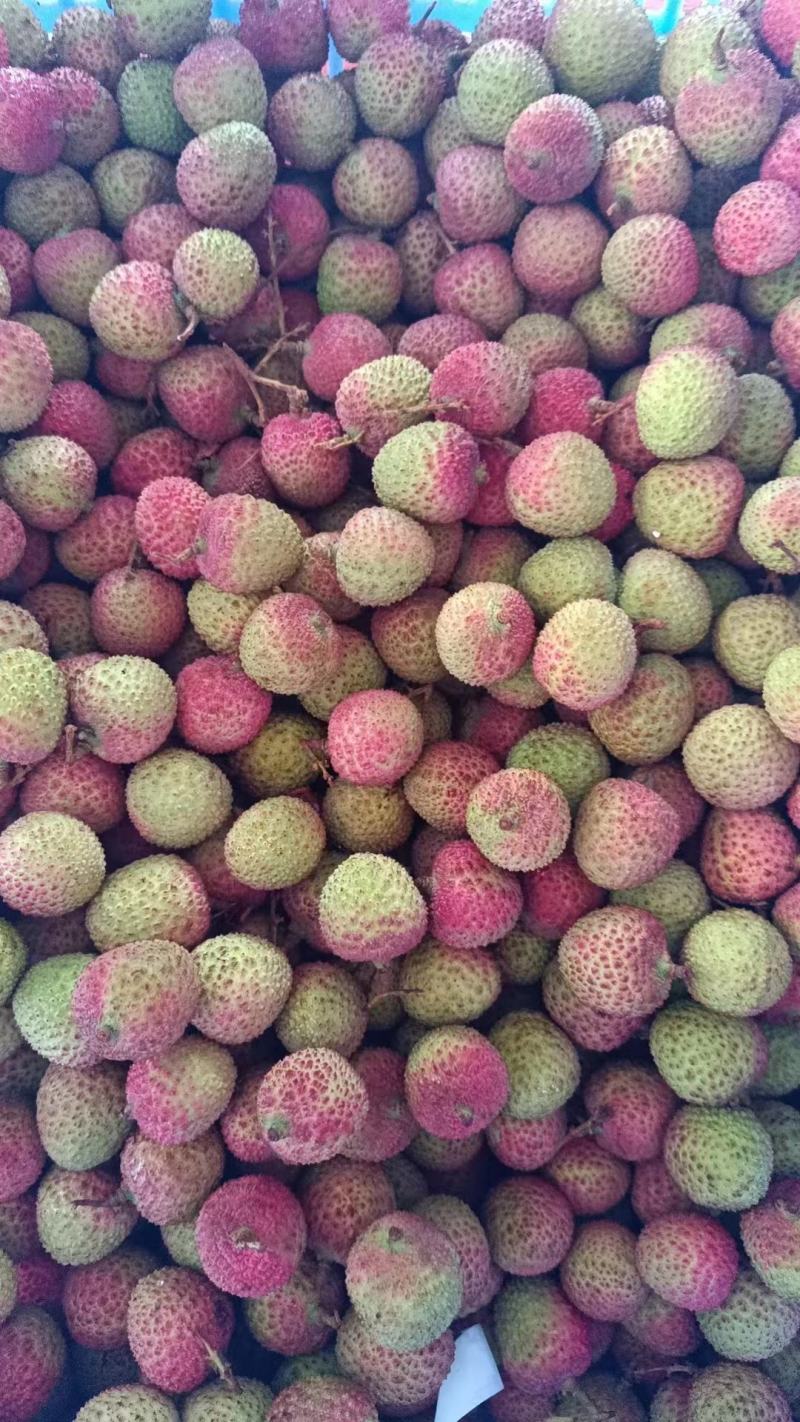 新鲜荔枝广东妃子笑荔枝