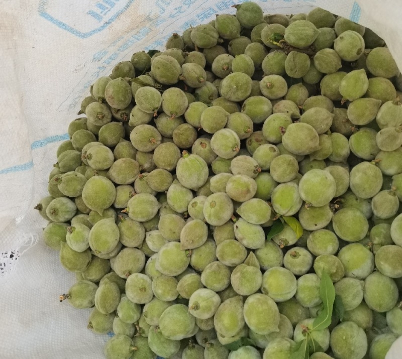 小青桃疏果毛桃