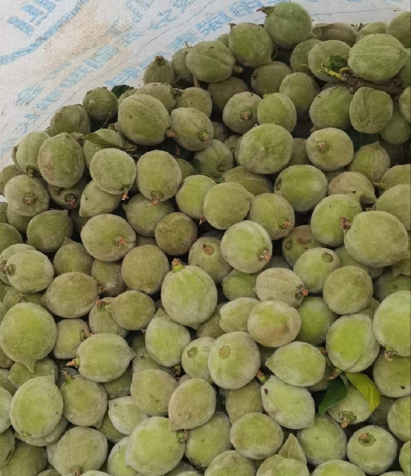 小青桃疏果毛桃