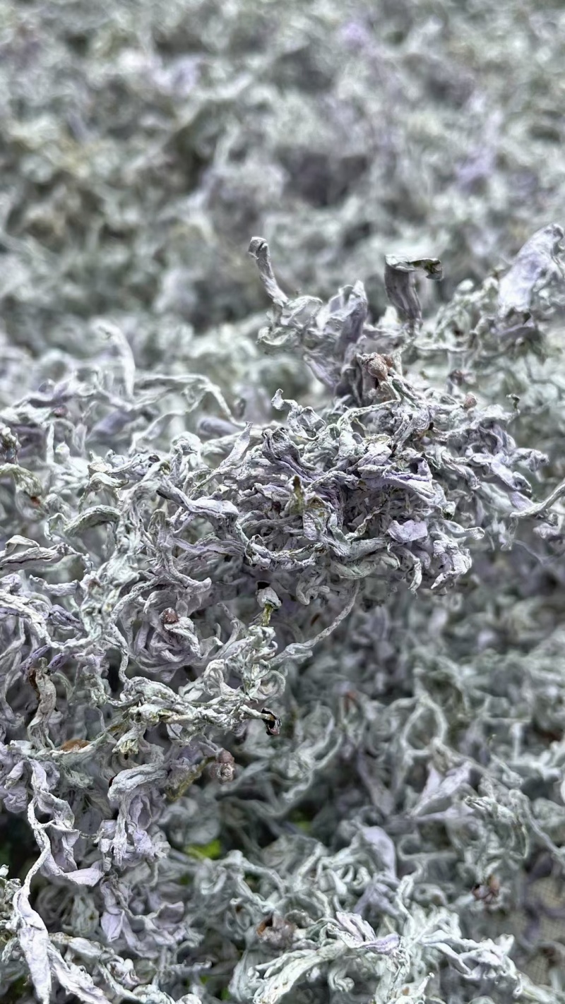 正宗张家界莓茶正品富硒恩施永顺莓茶特级莓茶纯野生莓茶