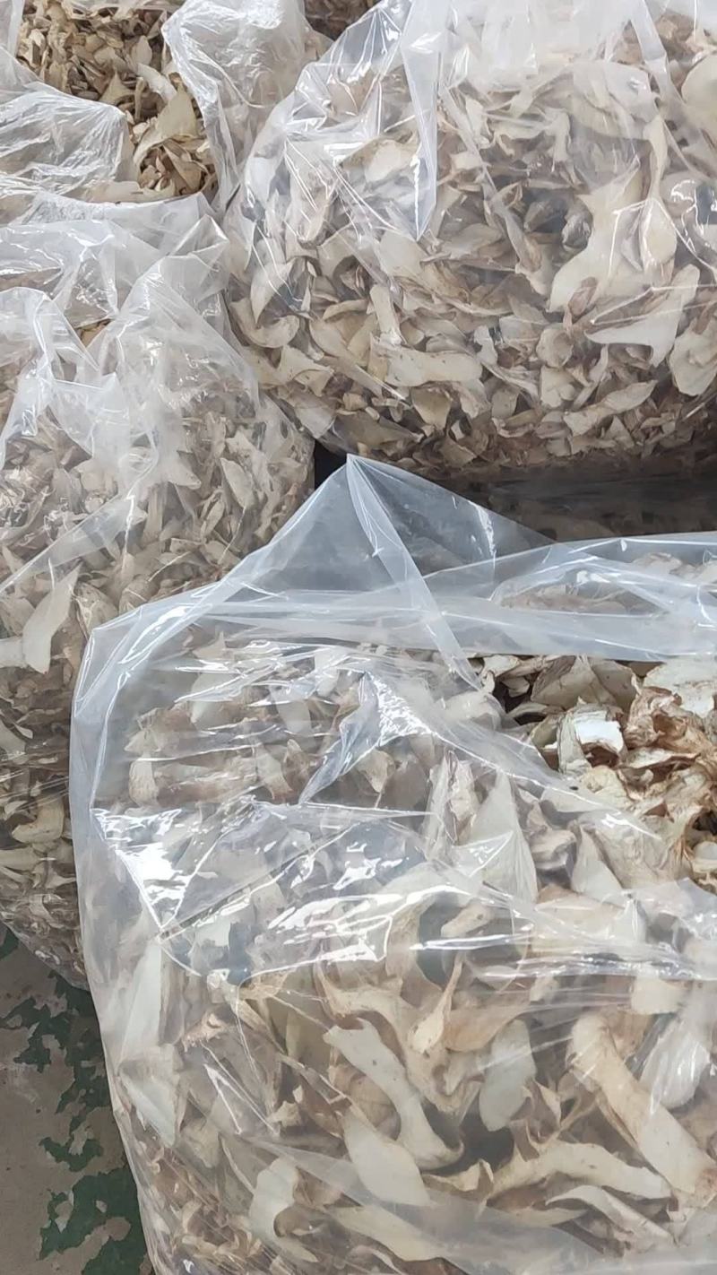灵芝菇，干品，干灵芝菇，灵芝仙菇干品
