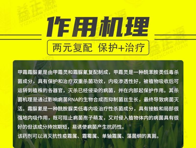 宝灵绿沐25%甲霜霜脲氰辣椒疫病甲霜灵霜脲氰像霜霉病杀菌