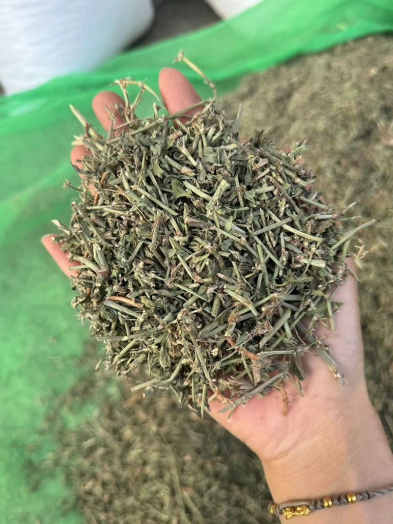 萹蓄干货萹蓄实拍现货过筛货发货实物图
