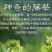 来凤富硒野生藤茶