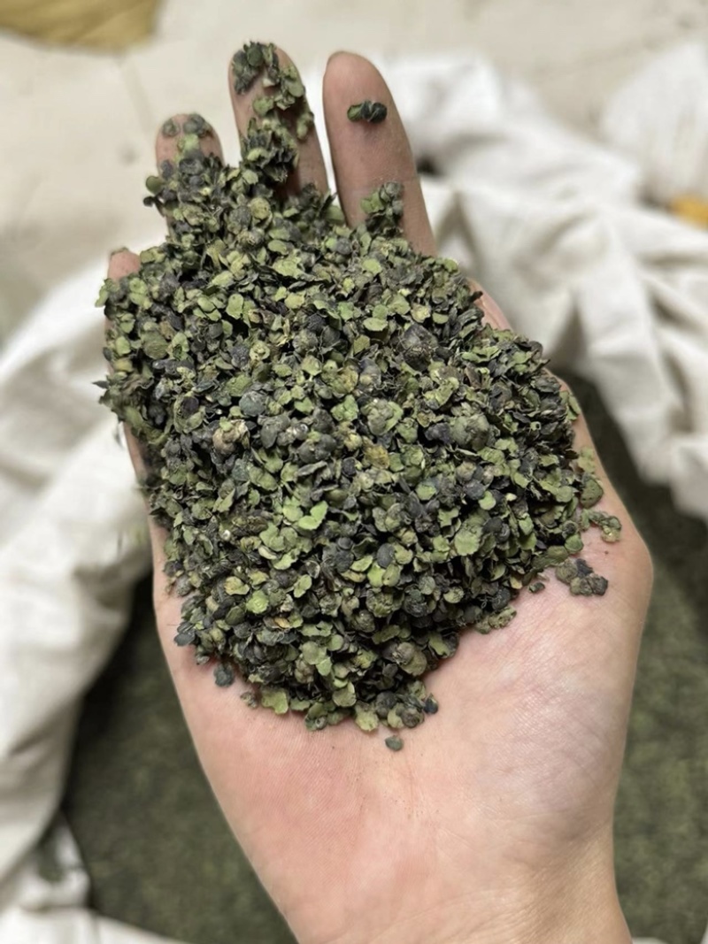 浮萍保庆药业现货干货浮萍实物拍摄发货如图