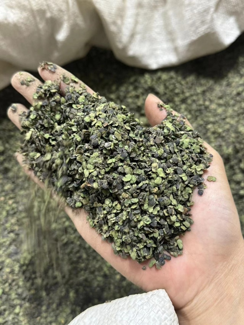 浮萍保庆药业现货干货浮萍实物拍摄发货如图