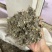 大蓟干货大蓟实拍图发货如图现货保庆药业