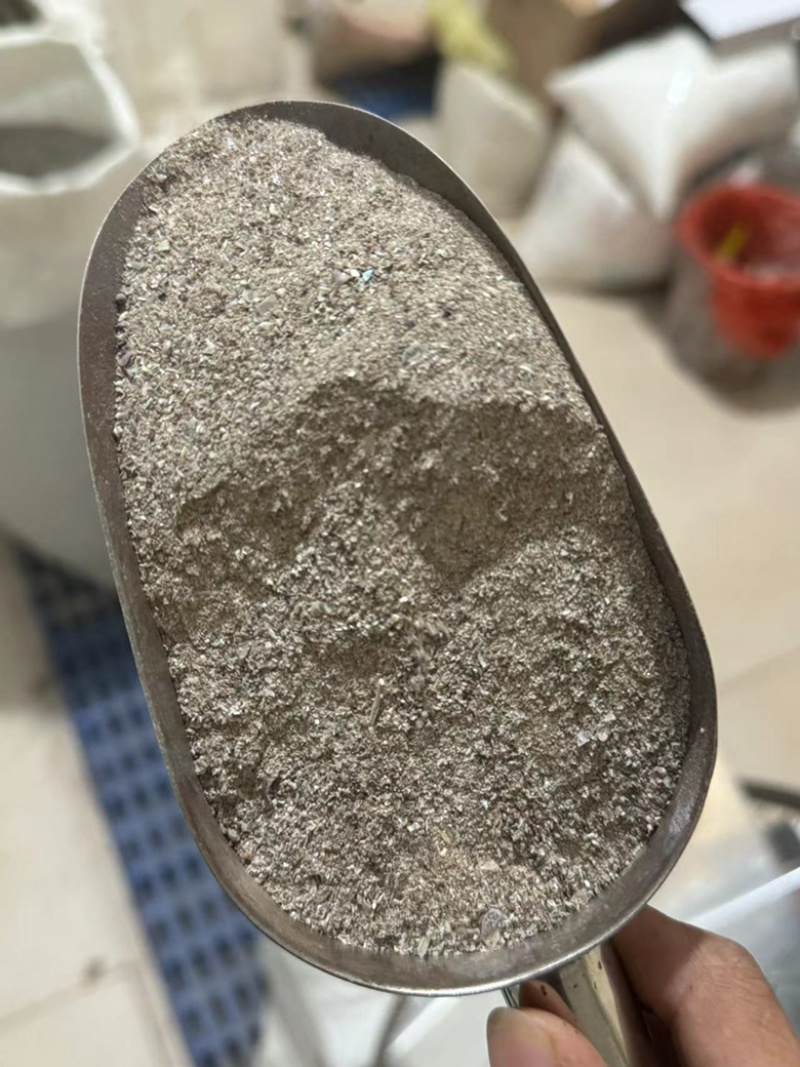 石决明石决明颗粒另有石决明粉现货保庆药业批石决明