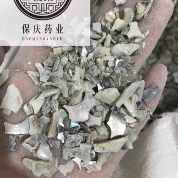 石决明石决明颗粒另有石决明粉现货保庆药业批石决明