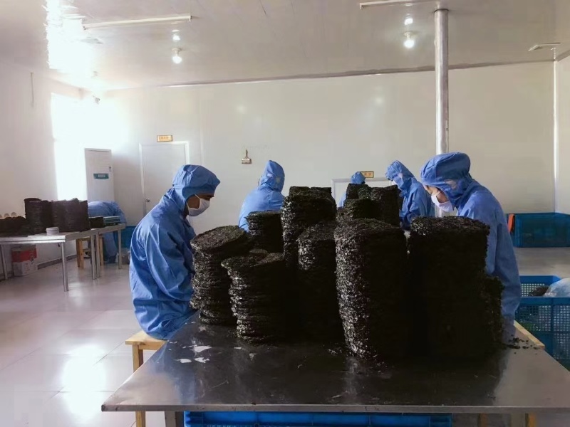 精品紫菜电商微商团购商超优选全国发货可定制各种规格