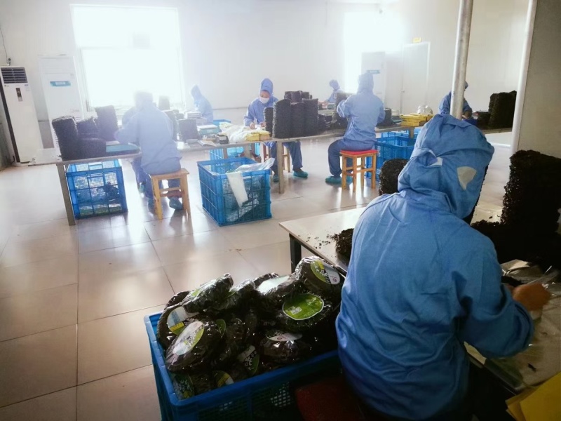 精品紫菜电商微商团购商超优选全国发货可定制各种规格