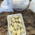 湖北土豆黄心土豆产地一手货源量大从优全国发货欢迎联