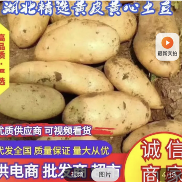 黄心土豆，黄皮黄心，一手货源，保证质量，适合电商，市场。