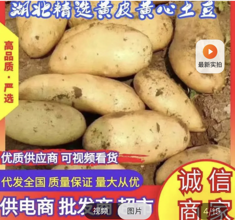 黄心土豆，黄皮黄心，一手货源，保证质量，适合电商，市场。
