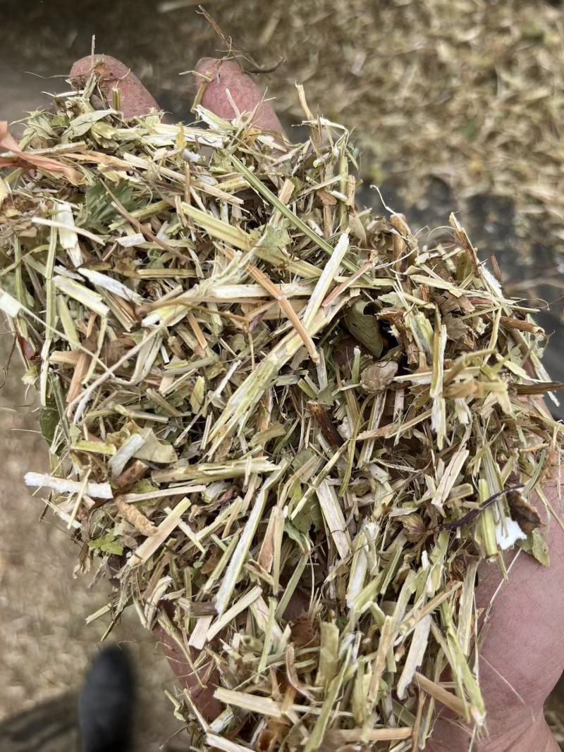 静雯牧草花生秧牛羊草饲料无土无地膜无霉变