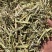 静雯牧草花生秧牛羊草饲料无土无地膜无霉变