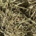 静雯牧草花生秧牛羊草饲料无土无地膜无霉变