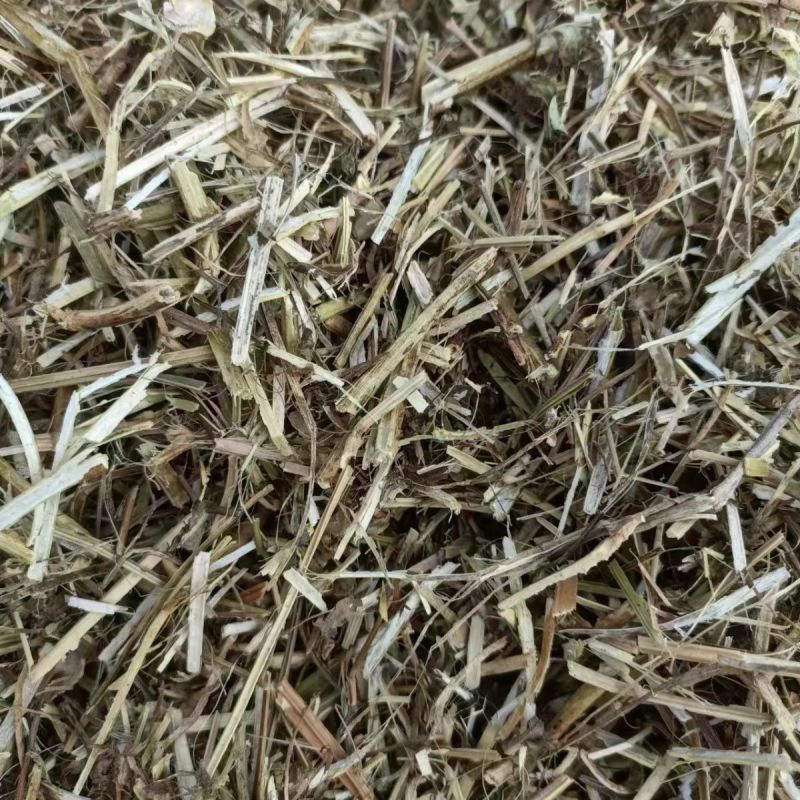 静雯牧草花生秧牛羊草饲料无土无地膜无霉变
