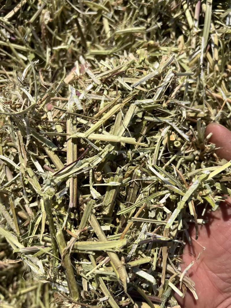 静雯牧草花生秧牛羊草饲料无土无地膜无霉变