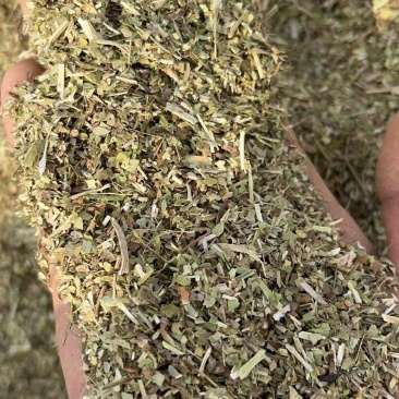 静雯牧草牛羊草饲料花生秧叶粉