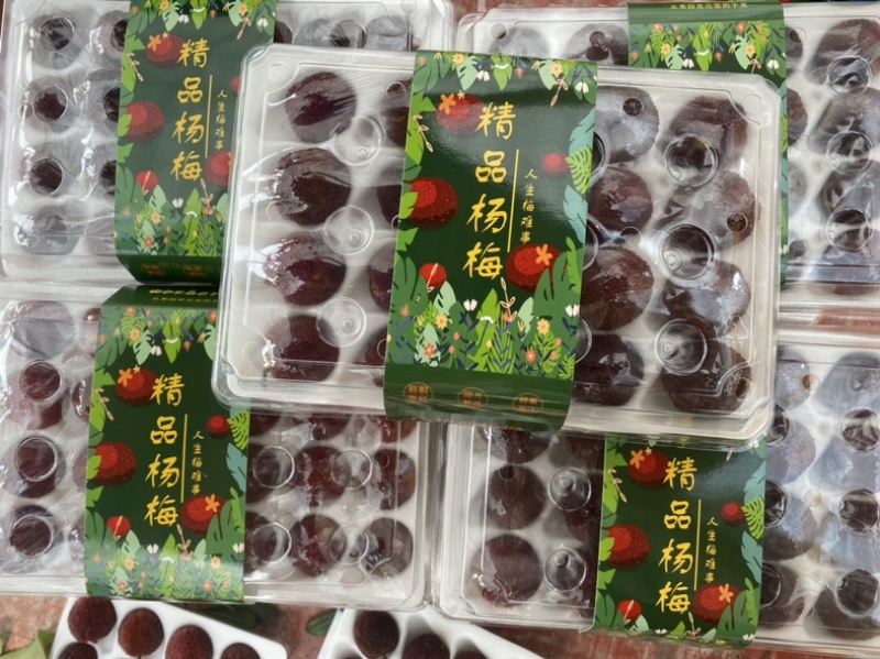 杨梅。早梅中梅荸荠梅硬丝东魁