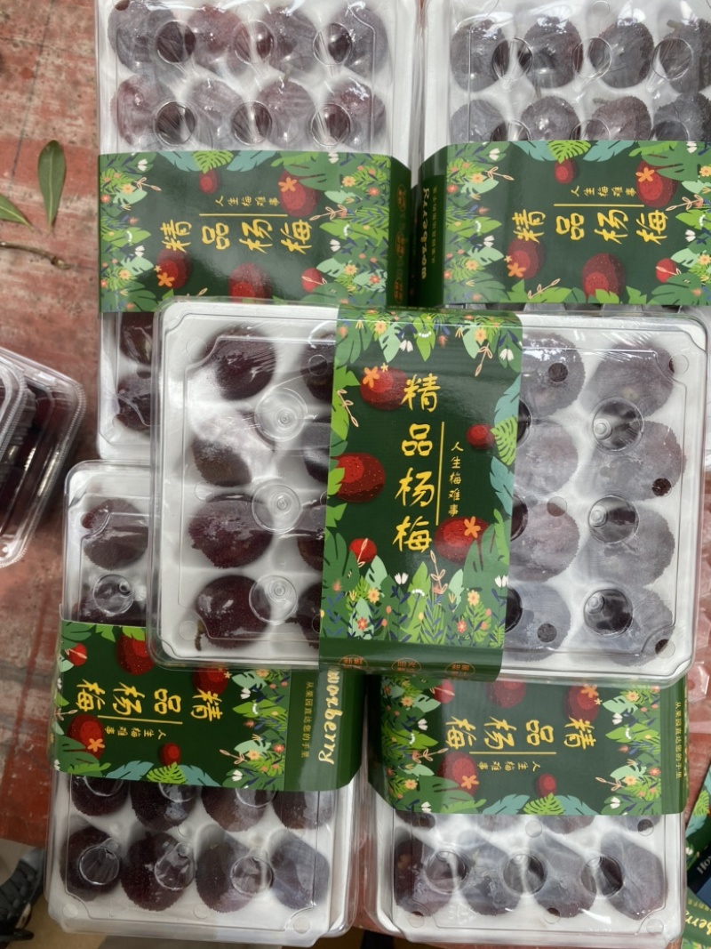 杨梅。早梅中梅荸荠梅硬丝东魁